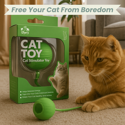 Solve Your Cat's Boredom in Seconds