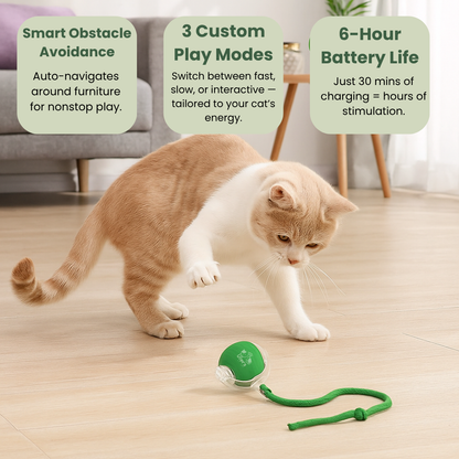 Solve Your Cat's Boredom in Seconds