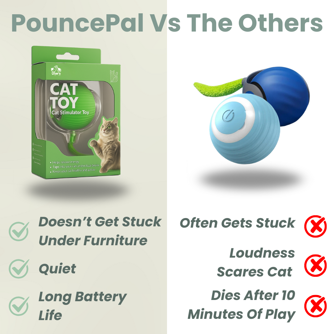 Solve Your Cat's Boredom in Seconds